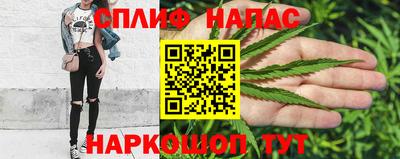 МДПВ Славянск-на-Кубани